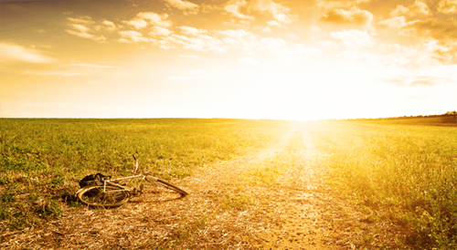 Eu só quero te ver novamente